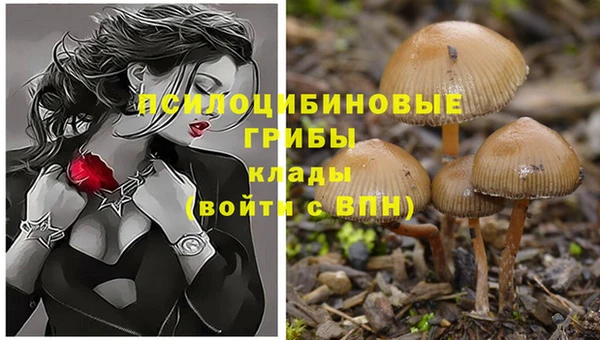 бошки Арсеньев