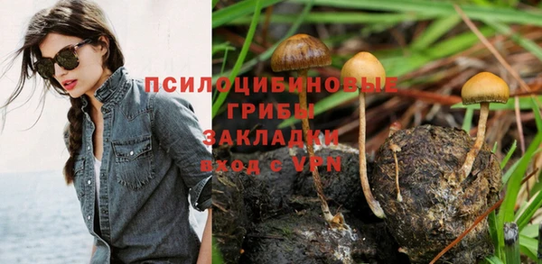 бошки Арсеньев