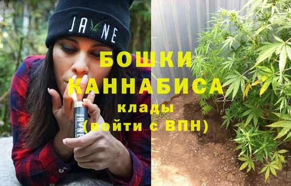 каннабис Аркадак