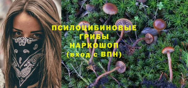 бошки Арсеньев