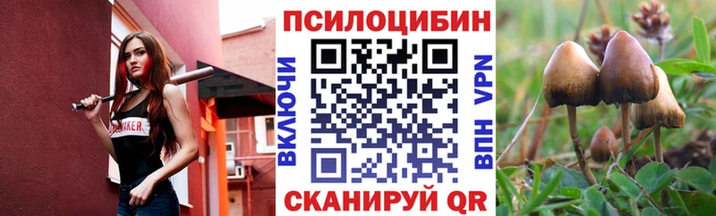 магазин    Павловский Посад  Галлюциногенные грибы ЛСД 