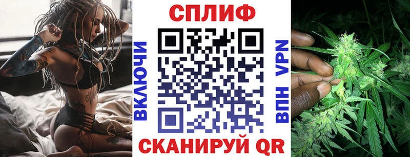 Бошки Шишки Amnesia Павловский Посад